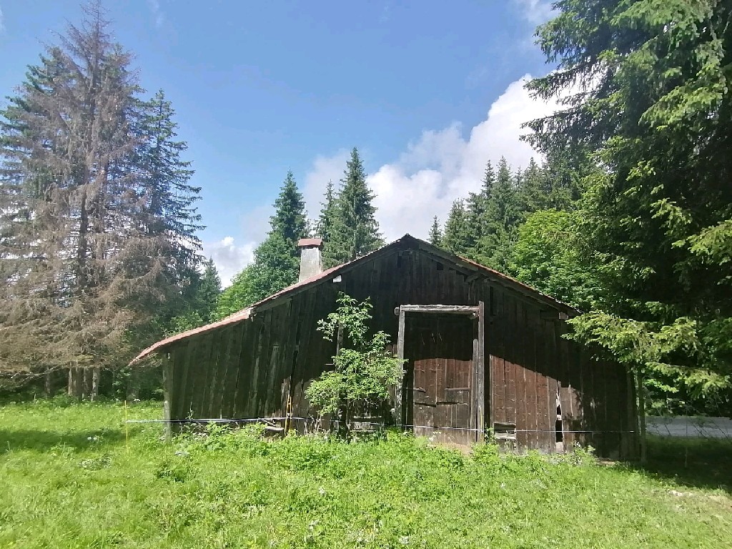 Maison - Chalet - Ferme - SAMOENS
