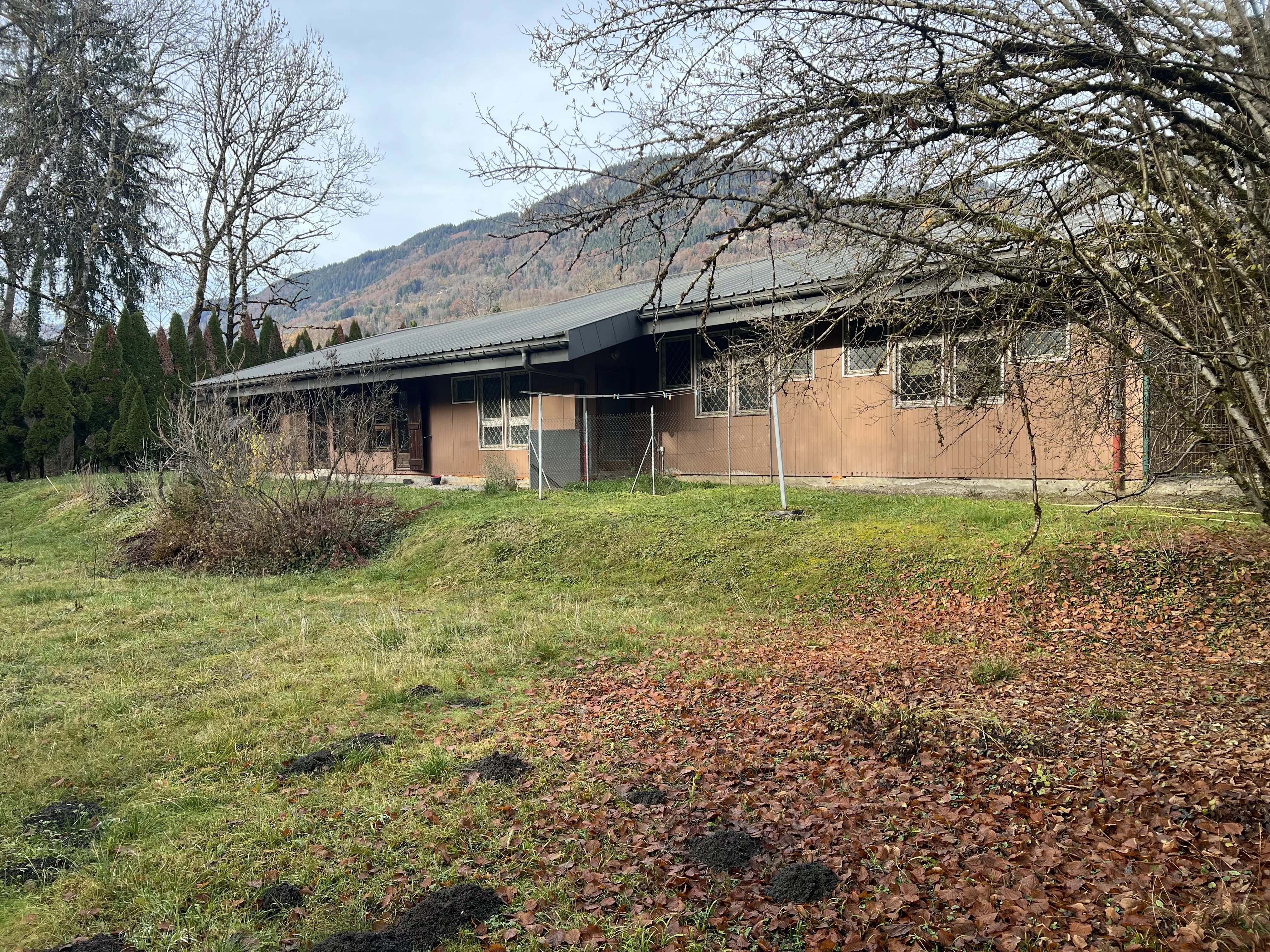 Local Commercial - Samo�ns